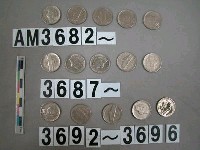 藏品(美國5分硬幣)的圖片